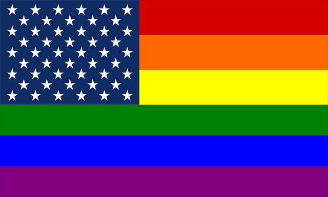 rainbow usa flag