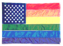 rainbow US flag